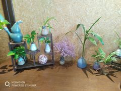 -新木器时代餐厅(太湖新天地店)