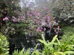 -广州兰圃