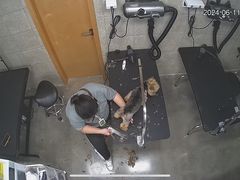 -帕帕拉兹宠物(亚洲旗舰店)