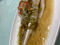 -新吉士·上海菜(浦东LCM置汇旭辉店)