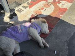 -前村咖啡(崇贤店)