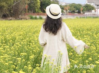 送你一片花海#收录春天的美好#