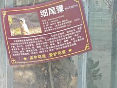 -水绘园