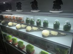 -番食园鲜食火锅(高新店)