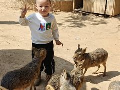 -泉州海丝野生动物世界