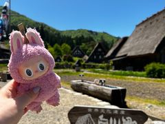 -白川乡与五箇山的合掌构造村落