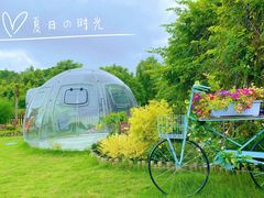 -同里国家湿地公园