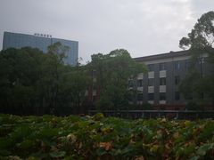 -四川大学(望江校区)