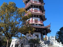 -池杉湖湿地公园