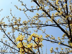 -玄武湖景区-情侣园游乐场