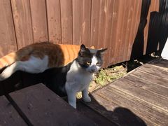 -潭柘厚院&山顶烤肉(潭柘寺店)