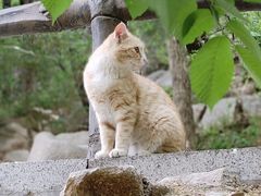 -崂山九水游览区