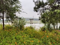 -绿堤公园