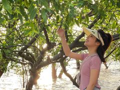 -宝安西湾红树林湿地公园