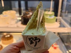 -野人先生现做冰淇淋(北京环宇荟店)