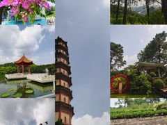 -广州莲花山旅游区