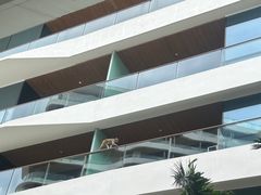 -三亚绿发山海天JW万豪酒店