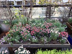 大堂-冰冰龙虾·江湖菜·花园江景餐厅