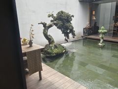 -觀芷隐轩