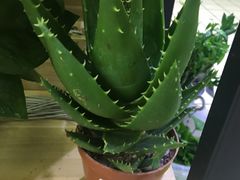 -物美超市(下沙店)