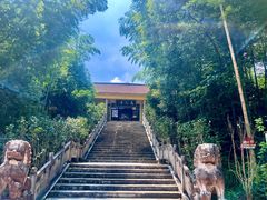-马仁奇峰