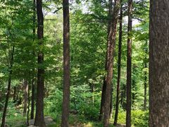-沂蒙山旅游区云蒙景区(蒙山国家森林公园)