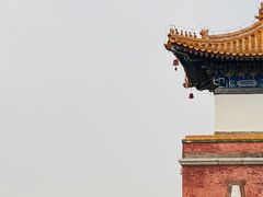 -颐和园