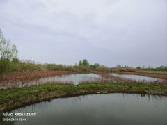 -泗洪洪泽湖湿地景区