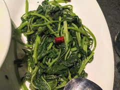 炝炒鲜红薯叶-北平盛世·新京菜·北京烤鸭(劲松·双井店)