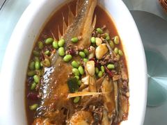 -苏启渔港(云南北路店)