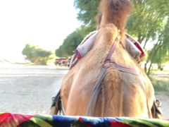 -黄沙古渡原生态旅游区
