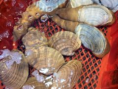 -东江港海鲜城(广雅花园别墅区店)