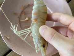 -小象钓虾·营地烧烤(洛溪店)