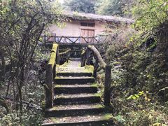 -神农架香溪源景区