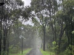 -广州市白云山风景名胜区