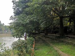 -成都市活水公园
