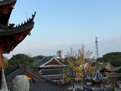 -上海东林寺(金山区)