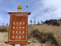 -朱雀国家森林公园