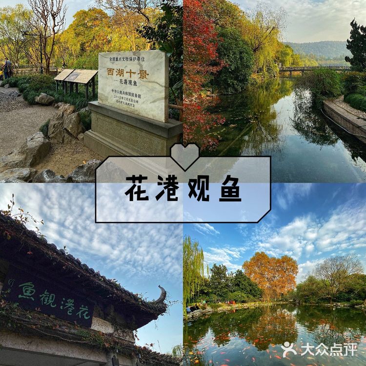 杭州旅游攻略|花港公园
