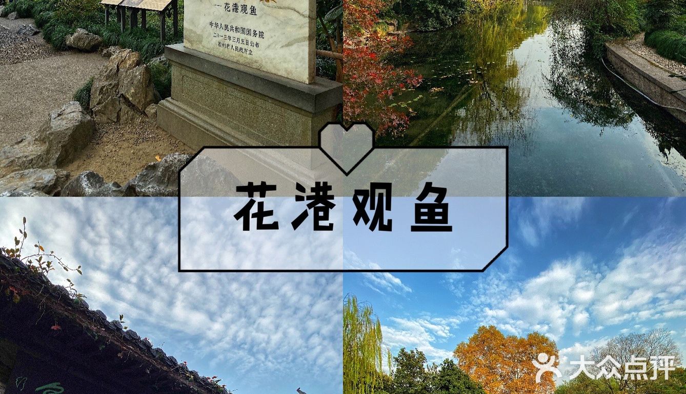 杭州旅游攻略|花港公园