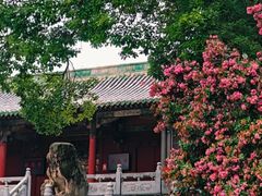 -报恩寺(平武县)