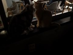 -咖法森林·咖啡  酒吧(天河店)