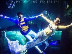 -台州海洋世界