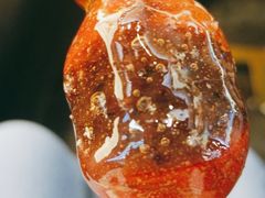 冰糖葫芦-二斗栗子(黄河道店)