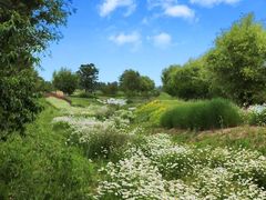 -汉长安城未央宫国家考古遗址公园