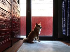 -天地無用GAME BAR