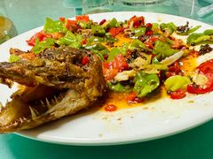 -煲来饱去冷水鱼