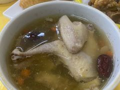 党参黄芪炖乳鸽-横河佬炖品店(罗阳一路老店)