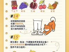 -美联众合动物医院·24h转诊中心