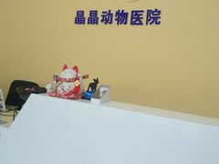 -瑞鹏宠物医院·爱宠堂·骨外专科(西荷分院)